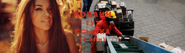 амф Гусиноозёрск