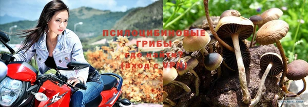 метамфетамин Гусь-Хрустальный