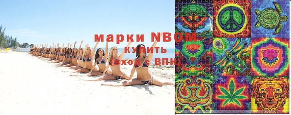 амф Гусиноозёрск