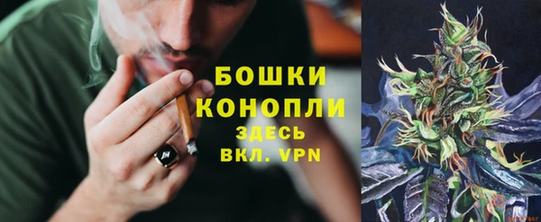 амф Гусиноозёрск